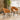 Quatropi 2 Lucy Velvet Carver Dining Chairs Orange