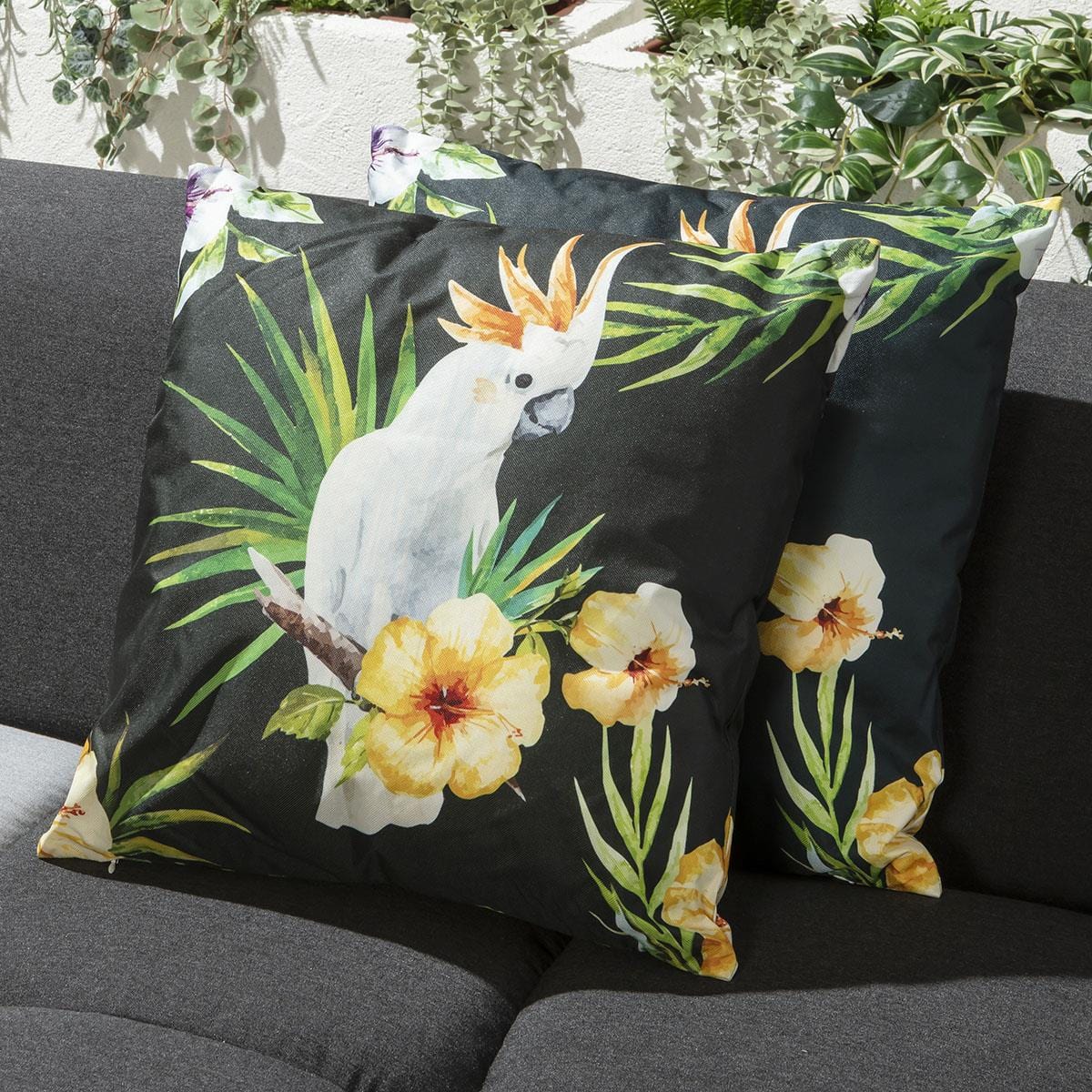 Quatropi 4 Tropical Parrot Outdoor Cushions 45cm