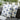 Quatropi 4 White & Blue Pattern Outdoor Cushions 45cm