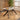 Quatropi Carter 6 - 10 Seat Ceramic Extending Dining Table 160-240cm White Gold