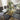 Quatropi Contemporary 2-Metre 8 Seater Glass Dining Table Gold Pedestal Base