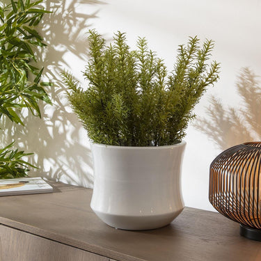 Quatropi Faux Rosemary Artificial Plant with Pot 25x55cm