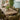 Quatropi Hattie & Glasgow Wooden 6 Seater Dining Set Green & Reclaimed Oak