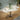Quatropi JOHNSON-MN-1005-COLD-JADEITE+4X-WILLOW-NC-181-PISTACHIO