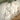 Quatropi JOHNSON-MN-1005-COLD-JADEITE+4X-WILLOW-NC-181-PISTACHIO