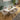 Quatropi JOHNSON-MN-1005-COLD-JADEITE+6X-CLARA-F763KDP-1-DC-NATURAL