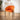 Quatropi Loki Velvet Carver Dining Chair Burnt Orange