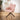 Quatropi Luna Swivel Carver Dining Chairs Pink