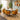 Quatropi Maple & Rudie 6 Seater Round Extendable Dining Set Mustard Yellow & White Ceramic