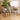 Quatropi Mia Carver Dining Chair with Arms Light Grey