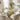 Quatropi Modern Dining Table and Chairs Set Cream Velvet Glass 8 Seat Dining Set