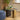 Quatropi Modern Square Bedside Lamp Side Table Premium Black Oak Gold 60cm