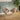 Quatropi OLIVE-MND-3515-WHITE+8X-WILLOW-NC-181-TAUPE