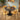 Quatropi Oscar & Pluto Contemporary 4 Seater Round Dining Set Yellow Gold & Grey Oak Wash