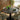 Quatropi Oscar & Venus 4 Seater Round Extendable Dining Set Green & Black Ceramic