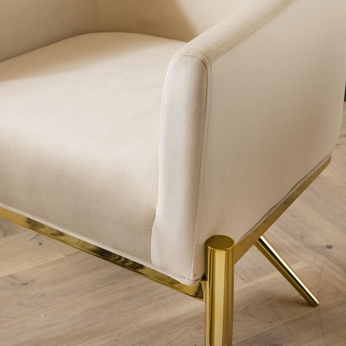 Quatropi Quatropi Dining Carver Chair Set of 2 Cream Velvet Curved Back on Gold Legs