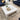 Quatropi Quatropi Square Coffee Table 120cm White Gloss - Glass Top