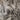 Quatropi Quatropi Wall Art - White Wood Wall Decor Panels - 180x150cm