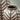 Quatropi Set of 2 Large Floor Standing Decorative Indoor Pots Vases Grey Zebra