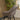 Quatropi Set of 4 Velvet Kitchen Counter Island Bar Stools with Backs Grey