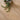 Quatropi Solid Natural Wood Dining Table With 8 Chairs Dining Set Mink 190cm