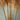 Quatropi Verdura Decorative Pampass Grass 5-Piece Set Natural