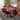 Quatropi Zoe 6 Seat Solid Wood Herringbone Dining Set Red Stained Wood