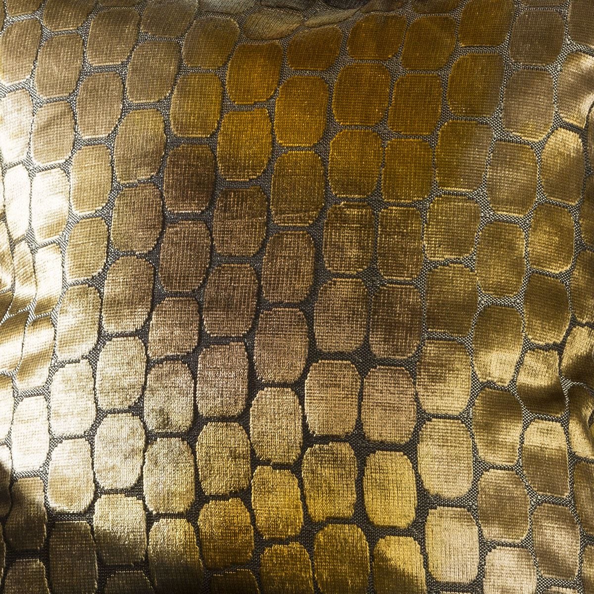 Quatropi Stunning Velvet Lizard Iguana Print Scatter Cushion 450mm Square Gold