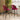 Quatropi 2 Hope Velvet Bar Stools Berry Red