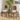 Quatropi 2 Seater Small Round Solid Wood Dining Table and Chair Dining Set Cream