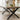 Quatropi 8 Chair Stained Solid Wood Extending Dining Set Black Velvet 160-230cm