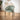 Quatropi Conor Ceramic Extending Dining Set - 6 Seater - Green