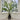 Quatropi Faux Imitation Potted Fern Plant Realistic Artificial Plant Indoor