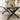 Quatropi Modern 10 Seater Solid Wooden Dining Table Live Edge Stained 260cm