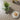 Quatropi Modern Round Outdoor Table and Chairs 6 Seater Beige Garden Dining Set