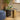 Quatropi Modern Square Bedside Lamp Side Table Premium Black Oak Gold 60cm