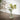 Quatropi Premium Artificial Flowers with Clear Glass Vase Faux Plants 25cm