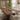 Quatropi Quatropi Modern Large Kitchen 10 Seater Dining Table 240cm Walnut Brown
