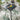 Quatropi Quatropi Modern Outdoor Garden High Bar Table 90cm Square Grey
