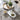 Quatropi Quatropi Rectangular Ceramic Dining Table Table 6 Seater Set - Grey Marble Effect