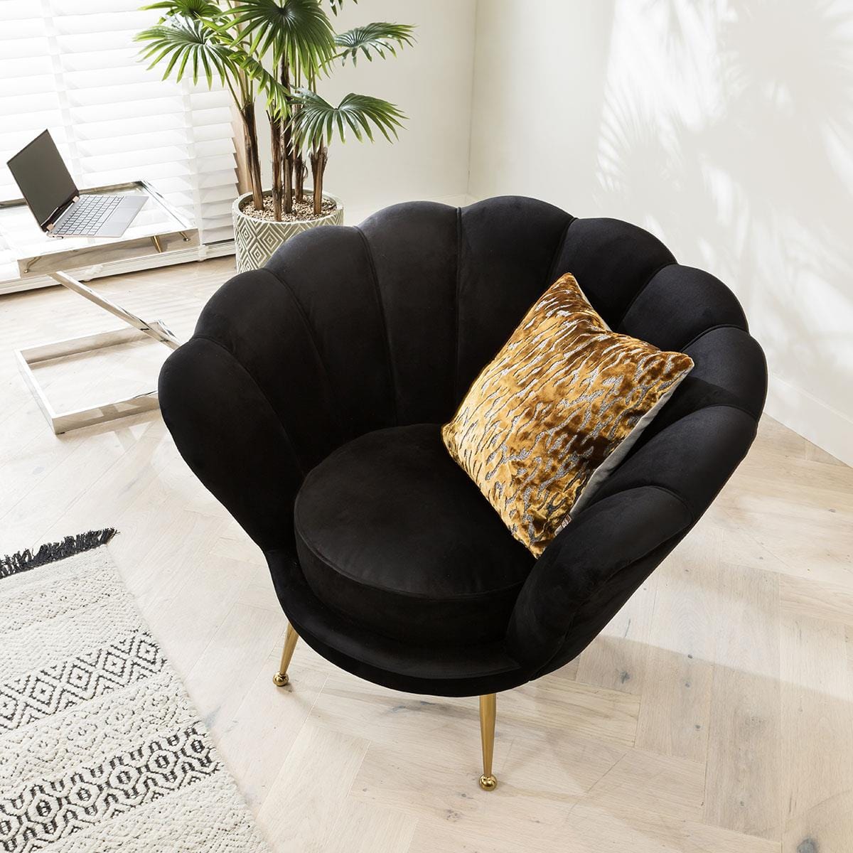Quatropi Quatropi Shell Accent Chair Black Velvet with Curved Back & Golden Metal Legs