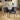 Quatropi Set of 2 Carver Dining Chairs with Arms Charcoal Grey Quilted Fabric