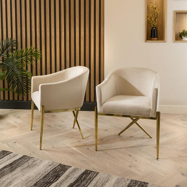 Quatropi Set of 2 Modern Carver Dining Chairs with Arms Cream Velvet Gold Legs