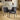 Quatropi Set of 2 Quatropi Luxury Carver Chairs Charcoal Grey Fabric Quilted