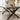 Quatropi Taurus 10 Seater Solid Wooden Dining Table 260cm