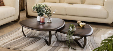 Quatropi Unique Nest of Coffee Tables Nesting Set of 2 Brass Metal Warm Oak