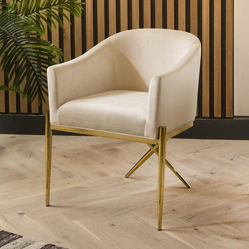 Zoe Luxury Carver Dining Chair with Arms Cream Velvet & Gold