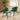 Quatropi Zoe Solid Stained 8 Seat Wooden Dining Table And Chairs Set Green