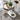 Quatropi Quatropi Rectangular Ceramic Dining Table 6 Seater - Grey Marble Effect